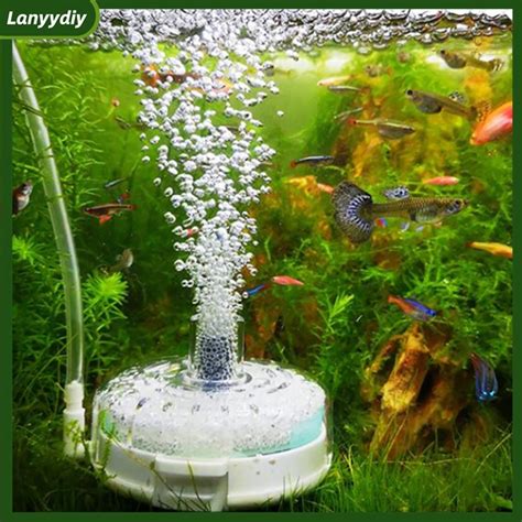 goblin fish price philippines|Big Sell!! Water Goblin Aquarium Sponge Fish Tank  .